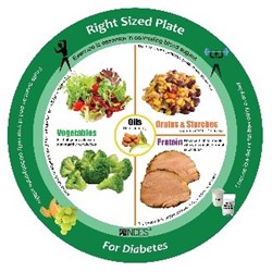 New NCES Diabetes Portion Plate Makes Portion Control Easy For People ...